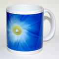 morning glory mug 0213